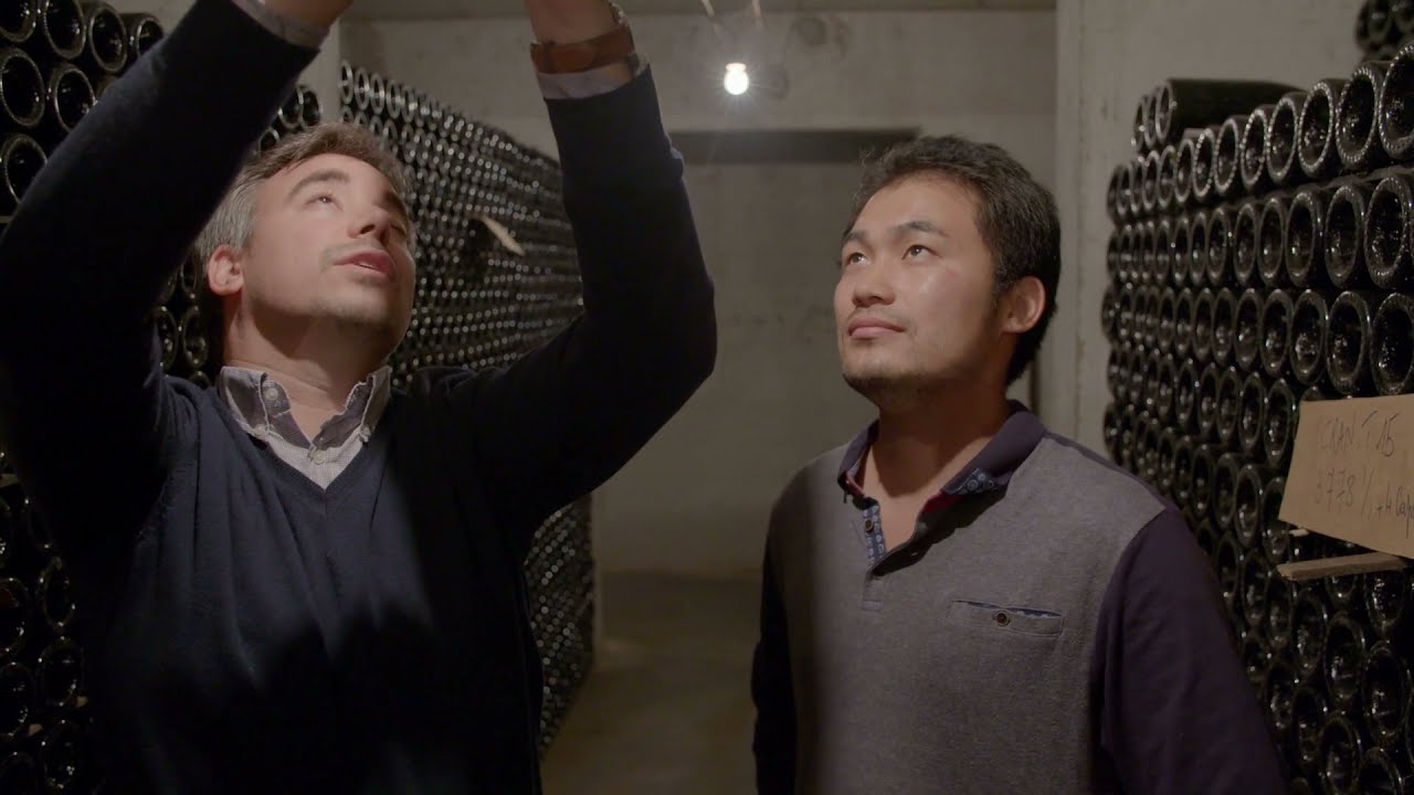 Champagne Bérêche Père et Fils - Présentation de notre domaine partenaire