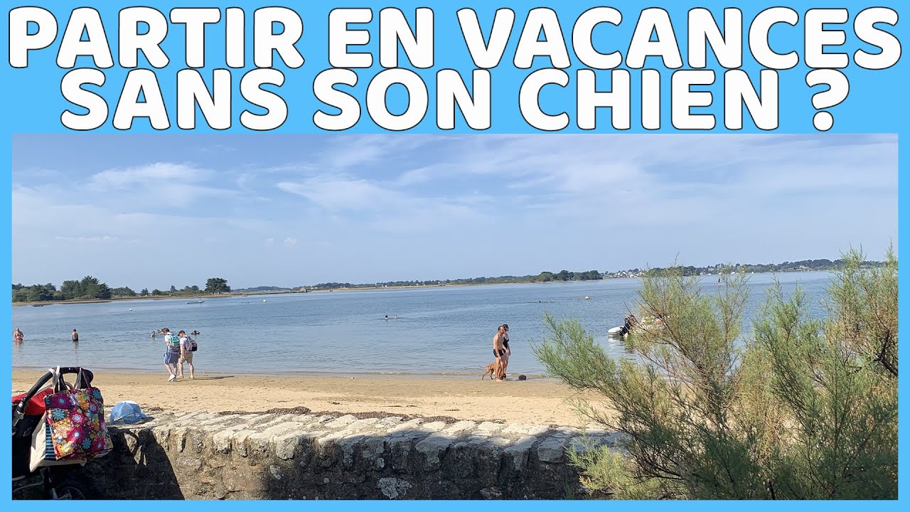 PARTIR EN VACANCES SANS SON CHIEN